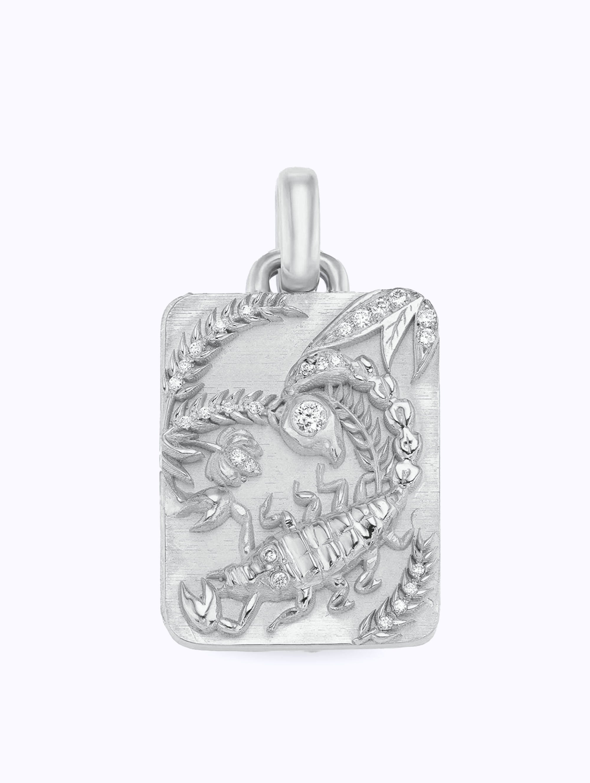 Astral Zodiac Medallion