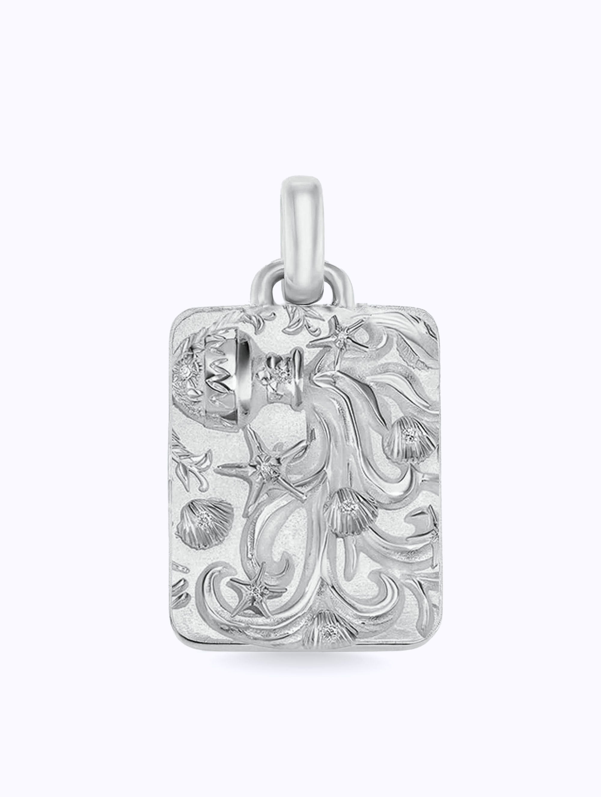 Astral Zodiac Medallion