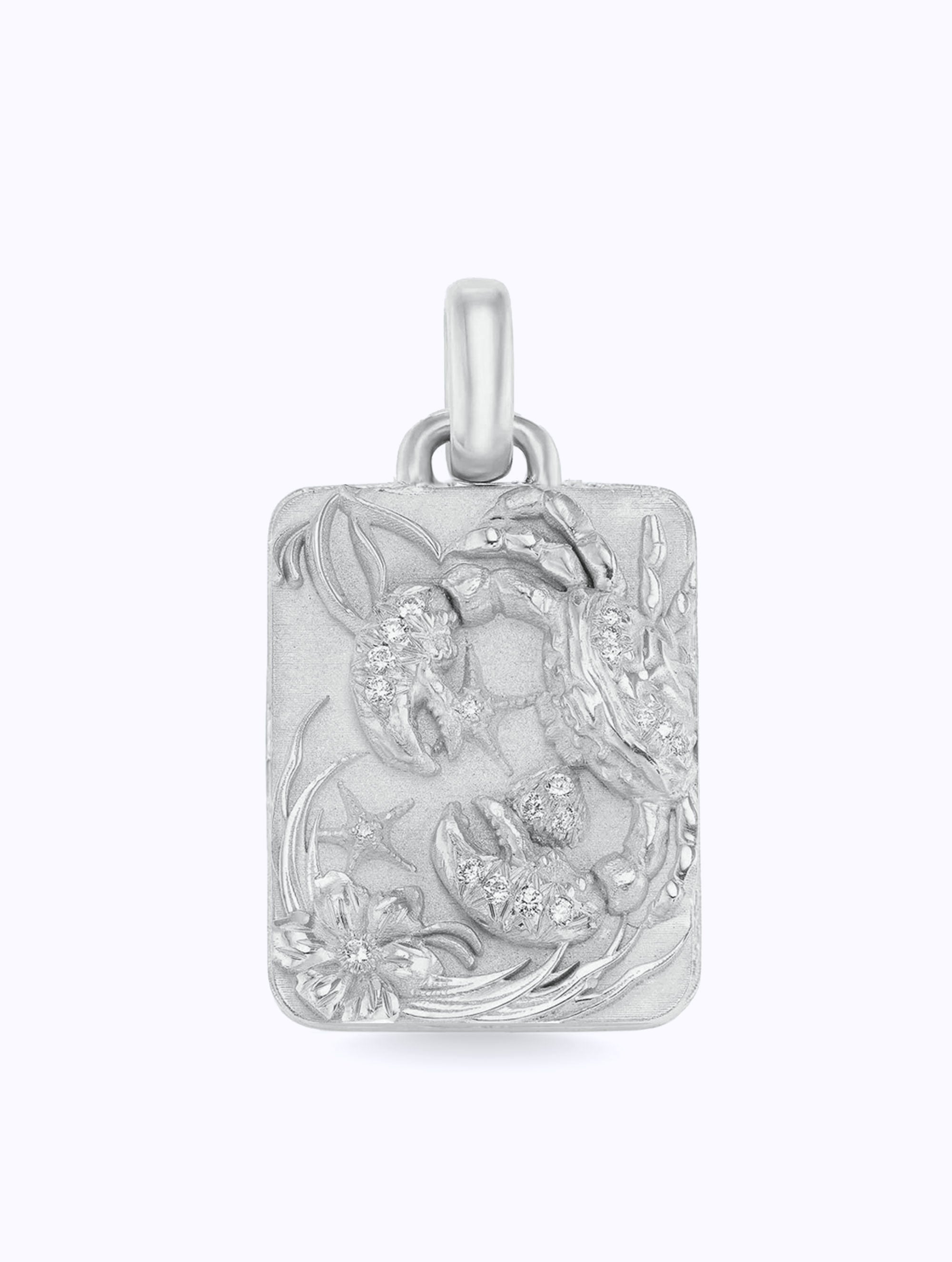 Astral Zodiac Medallion