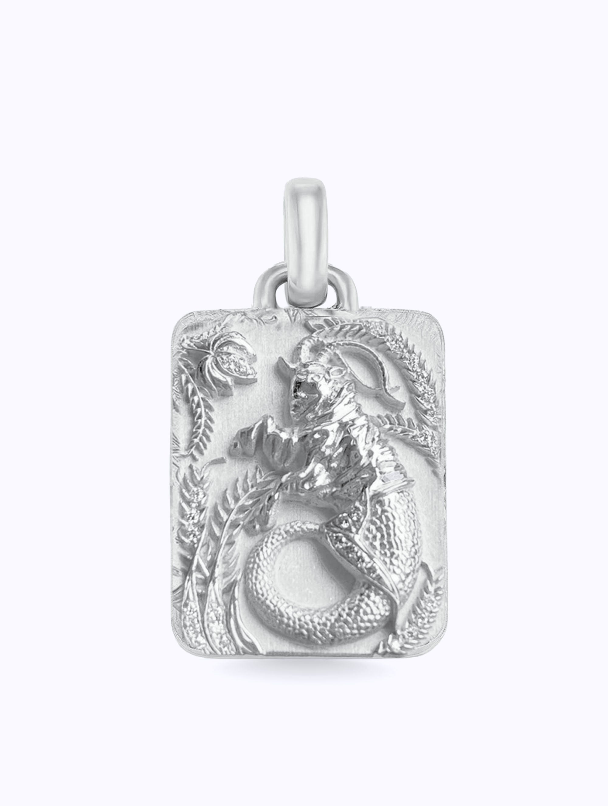 Astral Zodiac Medallion
