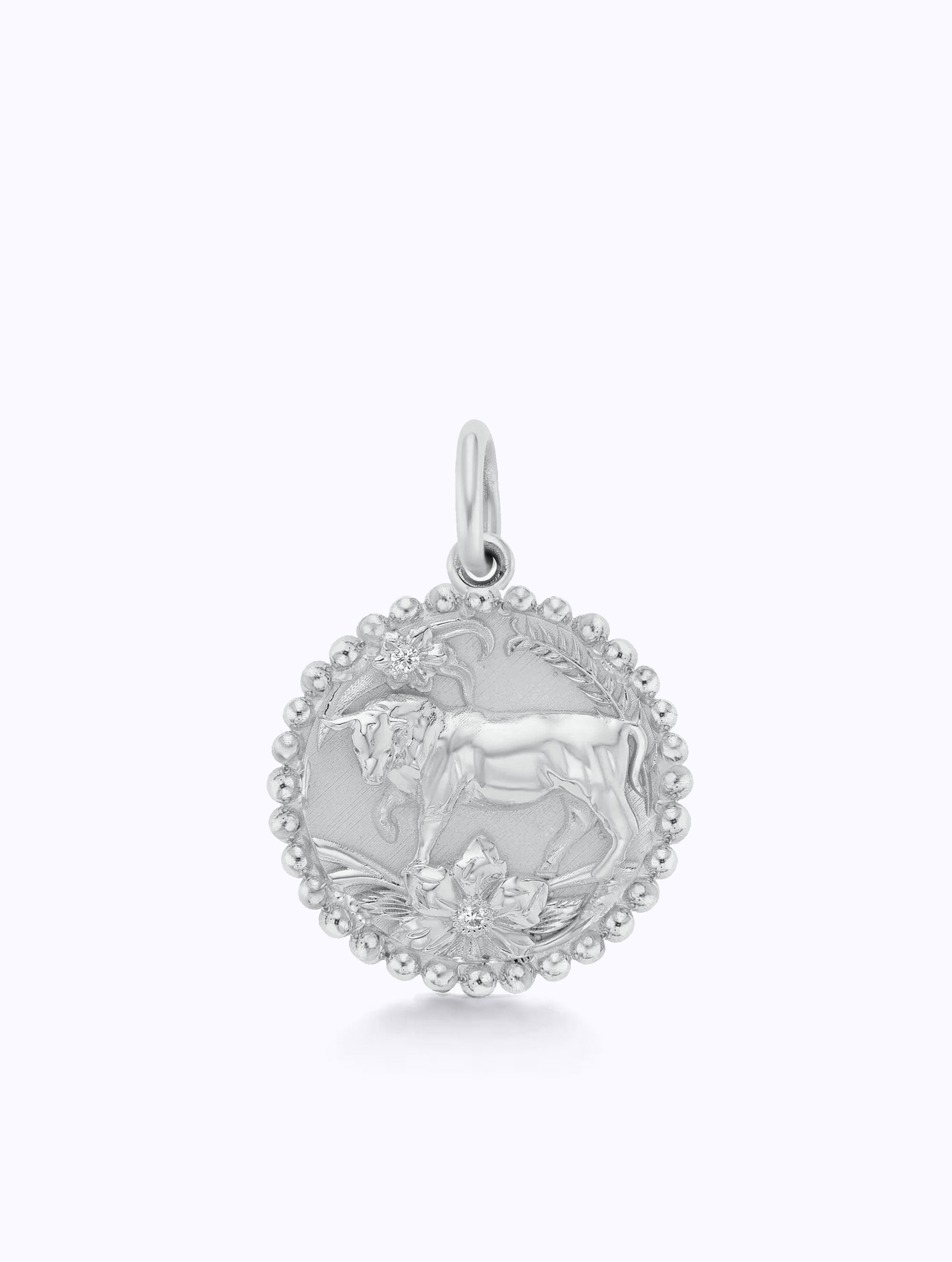 Zodiac Medallion