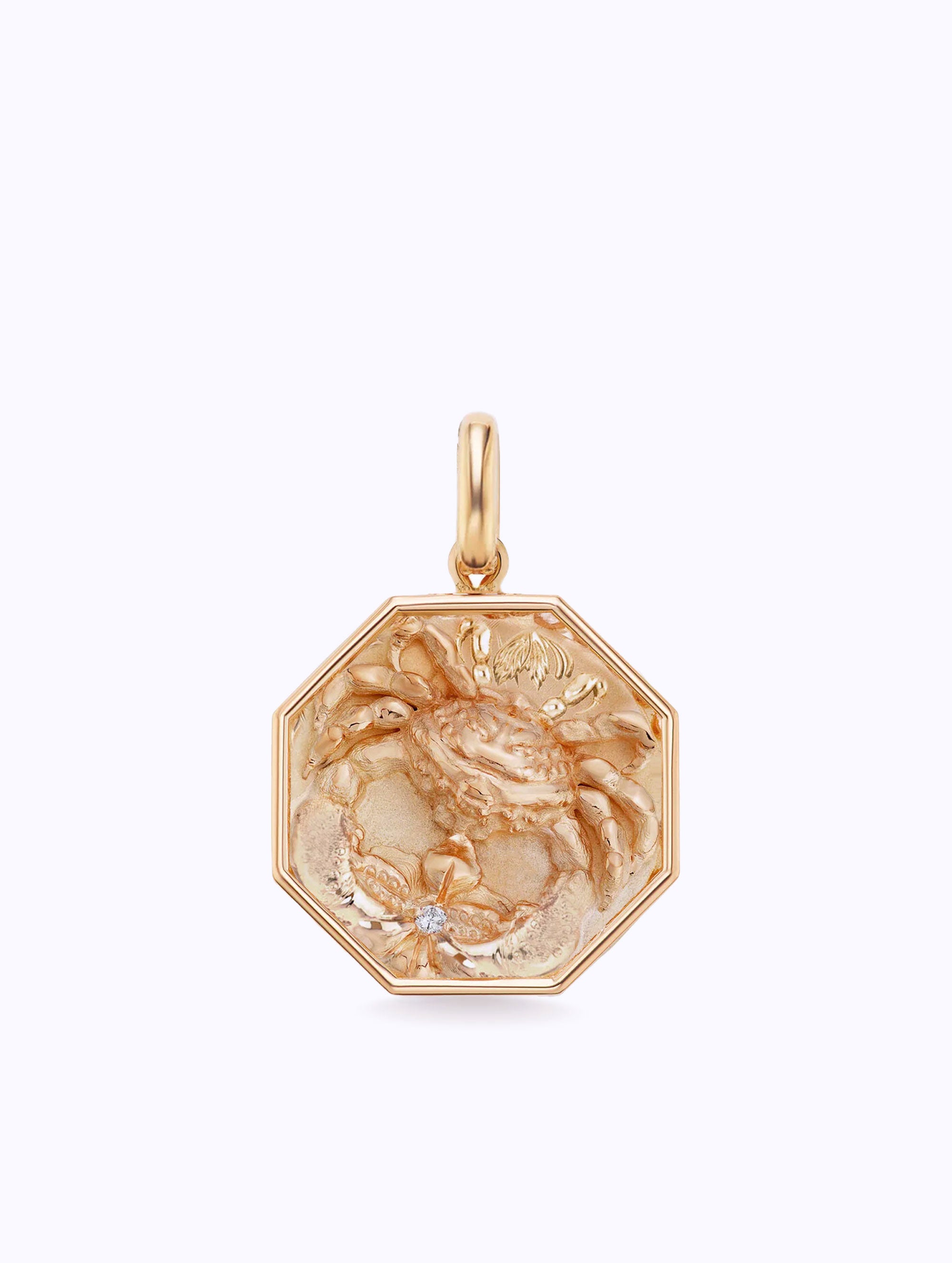 Talisman Zodiac Medallion
